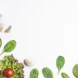 herbs-vegetables-white-background